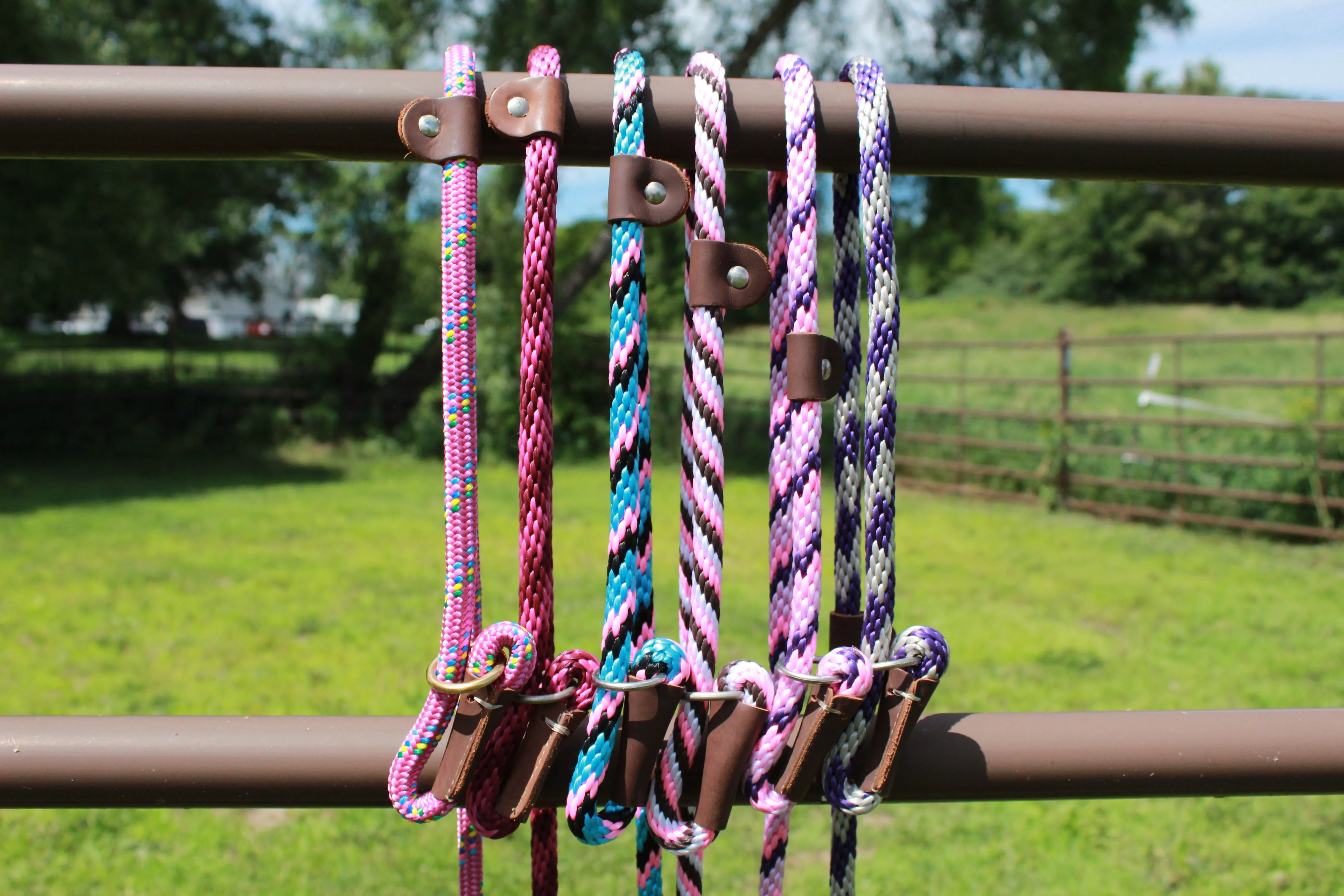 Mendota 3/8" Slip Leashes